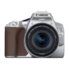 Canon EOS 250D Kit EF-S 18-55mm f/4-5.6 IS STM Silver